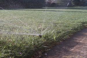 Looking for a Landscape sprinkler company that you can trust? We have